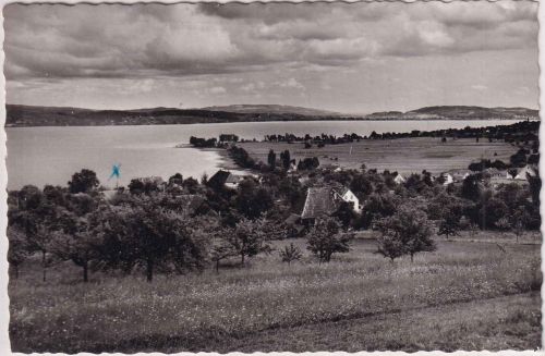 Württemberg - Wallhausen a. Bodensee Ortsansicht sw-Foto-AK gelaufen 1961