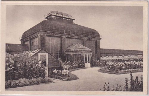 Schlesien - Liebichau Gärtnerei Fürst zu Pleß sw-AK ungebr ca 1935