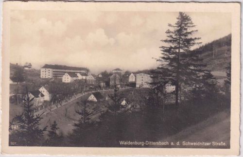 Schlesien - Waldenburg-Dittersbach Ortsansicht sw-Foto-AK ungebraucht ca. 1935