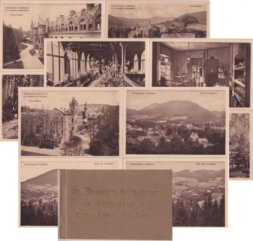 Schlesien - Gröbersdorf Dr. Brehmers Heilanstalten 12 sw-Ansichtskarten ca. 1935