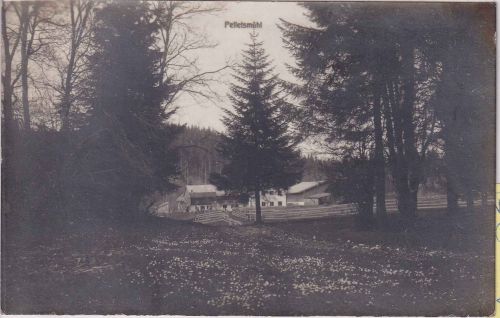 Bayern - Sachsenkam Pelletsmühl (Bauernhof) priv. Foto-AK gelaufen 1911