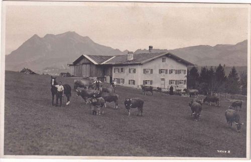 Bayern - Sonthofen (?) Bauerhof priv. sw-Foto-AK ungelaufen 1924