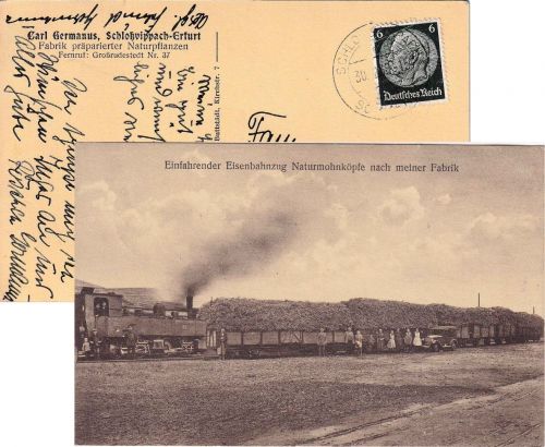 Thüringen - Schloßvippach Güterzug m. Naturmohnköpfen gelaufen 1938