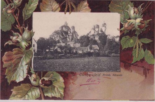 Bayern - Tüchersfeld Ortsansicht farb. Haselnuss-Passepartout-AK ca. 1905