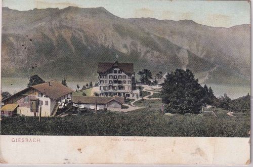 Schweiz - Giesbach Hotel Schweibenalp farb. AK gelaufen 1910