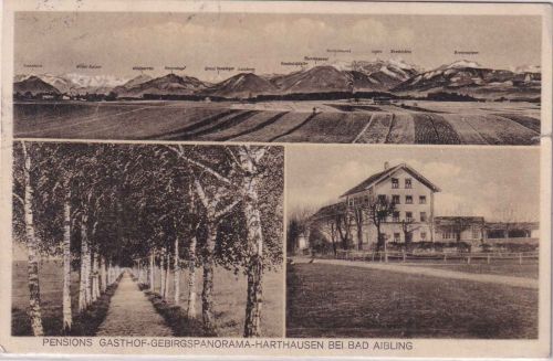 Bayern - Harthausen b. Aibling Gasthof sw-Mehrbild-AK gelaufen 1928