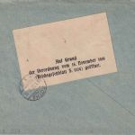 Österreich - 40+5 Pfg. Freimarken/Deutschösterreich Einschreibebrief Wien 9.1.20