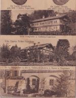 Bayern - Tegernsee sw-Mehrbild-AK (Ganghofer, Thoma) ca. 1910