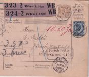 Österreich - 1 G. Ausgabe 1890 Paketkarte (2 Pakete) i.d. SCHWEIZ Wien 1895