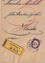 Österreich - 5 Kr. Portomarke portopfl. Einschreibe-Dienstbrief Rumburg 1899