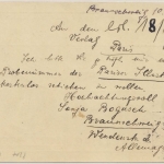 DR - 15 Pfg Goethe 100.Todestag Sonderganzsache n. Frankreich Braunschweig 1933