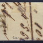 9 Kr. Quadrat bläulichgrün, Mi.Nr. 5aIII, gMR 217/München - voll- bis