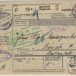 Deutsches Reich - 80 Pfg Germania Paketkarte i.d. SCHWEIZ Auerbach - Zürich 1912