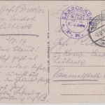 Deutsches Reich - Saargemünd 1917 Feldpostkarte (AK Hospital) - Flensburg Zensur