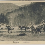 Österreich - 10 H. Portomarke unfrankierte Karte Mürzsteg (Steiermark) Wien 1910