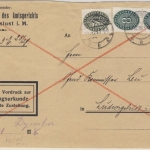 DR-Dienst - 30+2x8 Pfg. Strohhut Zustellurkunde Ortsbrief Ludwigslust 1928