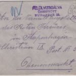 Österreich - Sanitätsanstalt Nr.2 Feldpostbrief FPA 36 n. DÄNEMARK 1915 Zensur