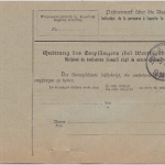 DR - 80 Pfg. Germania o.Wz. Paketkarte n. DÄNEMARK (Veile) Berlin S42 - 1904