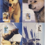 Australien/Antarctic Territory - 4 Bildganzsachen ungelaufen - Motiv: Husky