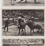 Spanien - Stierkampf, 3 sw-Fotokarten - ungelaufen ca. 1960