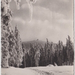 BRD - 40 Pfg. Heuss I Luftpostkarte n. USA Osterode - Ithaca 20.2.1956