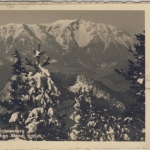 Österreich - Bahnpost Puchberg a.Sch. - Wr. Neustadt 226 Karte n. RUMÄNIEN 1931