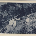 Österreich - Bahnpost Puchberg a.Sch. - Wr. Neustadt 226 Karte n. Neunkirchen