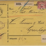 DR - 50+3x10 Pfg. Paketkarte n. DÄNEMARK Großröhrsdorf - Kopenhagen 1883