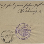 DR - 10 Pfg. Krone/Adler, Dienstbrief/Retourvermerk Flatow - Wiikau 1892