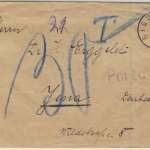 Frankreich - 15 C. Säerin Brief Nachporto Riquewihr (Reichenweiher) - Jena 1919