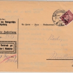 DR - 60 Pfg. Stephan/Dienst, Zustellurkunde Ludwigsburg - Reutlingen 1924