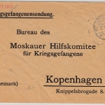 DR - Kriegsgefangenenpost Lager Döbeln Brief n. DÄNEMARK 1916 geprägte(!) Zensur