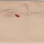 DR - Königsbrück 13.11.83, K1 a. Brief m. 10 Pfg. n. Kamenz, mit Inhalt