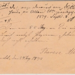 DR - Detmold 30/8 (1874), kl. K1 a. 1/2 Gr. Brustschild GA-Karte n. Oldenburg