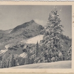 BRD - (13a) Willenhofen ü. Hemau, Landpost-Ra2 a. Karte n. Regenstauf 1954