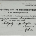 Württemberg - 3 n. 2 Pfg. Dienst-GA-Karte/Kameralamt, Ortskarte Wangen 1909
