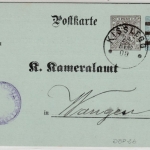 Württemberg - 3 n. 2 Pfg. Dienst-GA-Karte/Kameralamt, Oberamtsverkehr Kisslegg