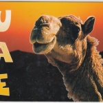 UAE - "Touristenkarte" n. Saarbrücken 1996