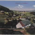 Elsass - Wangenburg, farb. Gesamtansicht/Feldpost, gelaufen v. Dachstein 1917