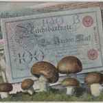 DR - Reichsbanknoten u. Pilze, farb. Ansichtskarte, gelaufen Münster 1906