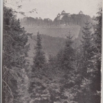 DR - Bahnpost Chemnitz - Weipert, Zug 1351 - Karte Augustusburg - Dresden 1921