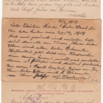 Österreich - 11 Karten/1 Brief Kriegsgefangenenpost, Zensuren, Rotes Kreuz etc
