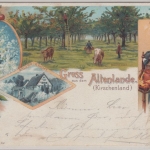 Niedersachsen - Altes Land (Kirschenland), farb. Gruss aus AK, gelaufen 1898 v.