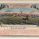 Niedersachsen - Buxtehude, Hase und Igel, farb. AK ungelaufen ca. 1910