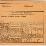 DR - 100+20 Pfg. Korbdeckel, Paketkarte Schlitz (Hessen) - Hamburg 1924