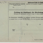 DR - 2x40 Pfg. Germania, Paketkarte i.d. SCHWEIZ, Heilbronn 4 - Biel 1910