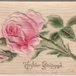 Glückwunsch - Herzlichen Glückwunsch Rose Prägekarte Grafing 1908