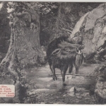 DR - Ferientour Feldpost August 1912 Höfen a. Enz, priv. Stpl. a. Karte n.