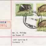 Papua-Neuguinea - Kwikila 1.6.93, Einschreibebrief m. prov. R-Zettel