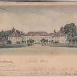 Sachsen-Anhalt - Oranienbaum, Herzogl. Schloss farb. AK gelaufen 1902